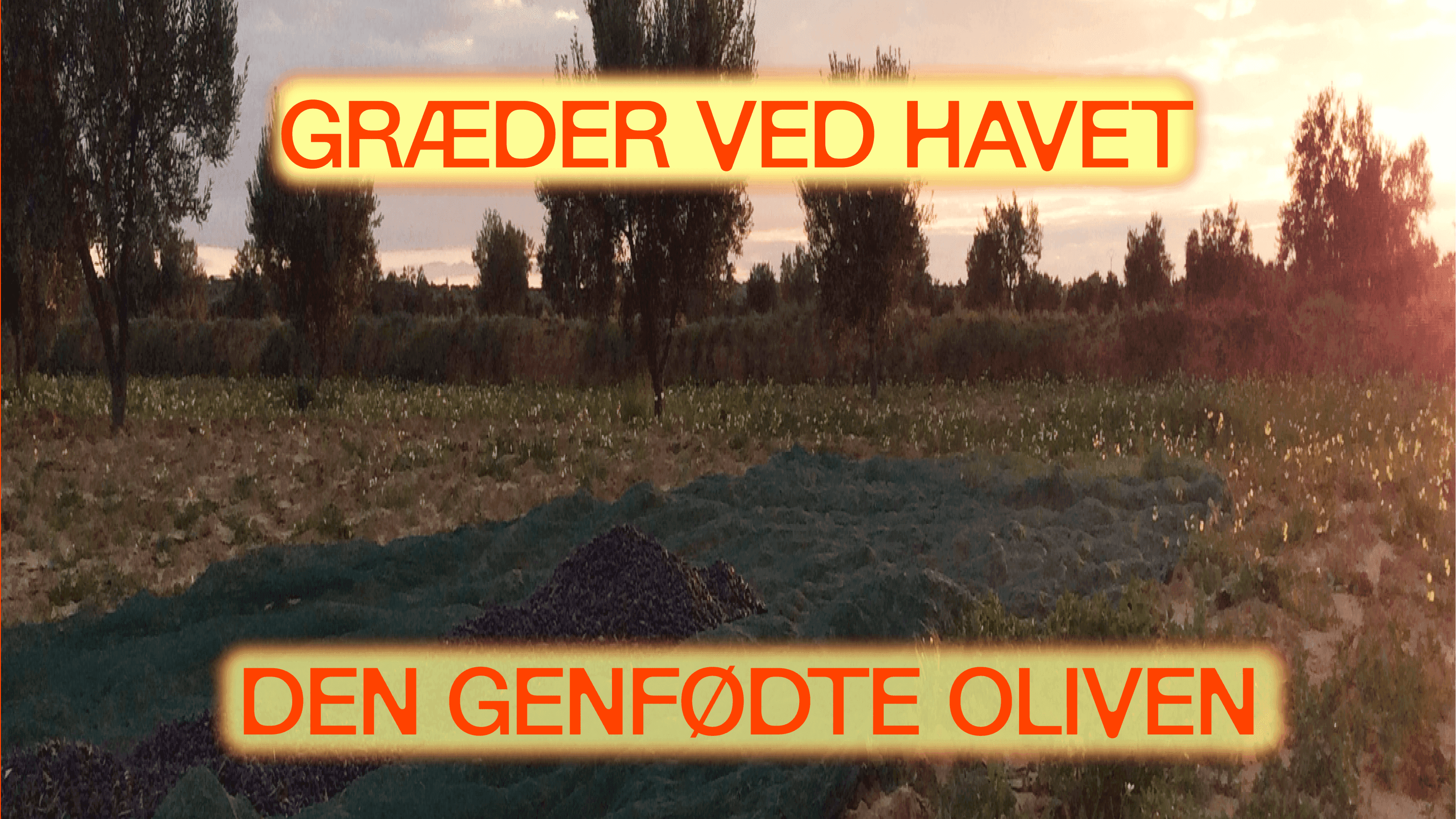 https://hospitable-breeze-1ce820de21.media.strapiapp.com/Olives_Rectangle_dk_website_2ac38ea230.png