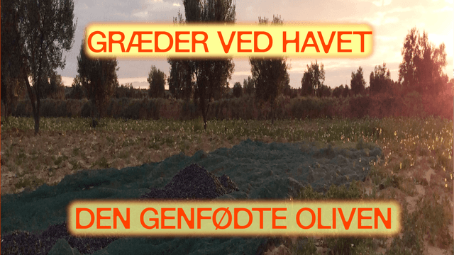 https://hospitable-breeze-1ce820de21.media.strapiapp.com/Olives_Rectangle_dk_website_2ac38ea230.png